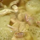 竹笙北菇老鸡汤