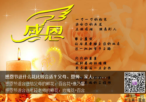 感恩节送什么花比较合适？