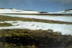 我国南极长城考察站建成（历史今天lsjt.org）